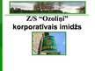 Презентация 'Z/s "Ozoliņi" mājas vīna "Dzidris" korporatīvais tēls', 1.