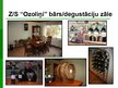 Презентация 'Z/s "Ozoliņi" mājas vīna "Dzidris" korporatīvais tēls', 4.