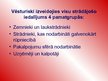 Презентация 'Latvijas darba tirgus problēmas', 5.