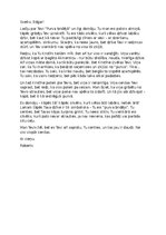 Эссе 'Vēstule Edgaram "Purva bridējs"', 1.