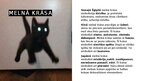 Презентация 'Krāsu un ciparu simboliskā nozīme', 9.