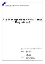Реферат 'Are Management Consultants Magicians?', 1.
