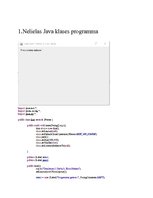 Образец документа 'Programmēšanas valodas "Java" izmantošana datu bāzes serverī', 4.