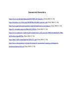 Реферат 'Polimēri', 16.