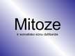 Презентация 'Mitoze', 1.