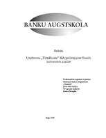 Реферат 'Uzņēmuma SIA "TietoEnator" pielietojamo finanšu instrumentu analīze', 1.