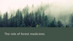 Презентация 'Forests and medicine', 17.