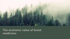 Презентация 'Forests and medicine', 25.
