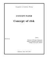 Эссе 'Concept of Risk', 1.
